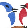 Bird Series